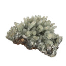 Hedenbergite Quartz - Specimen