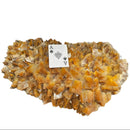 Honey Calcite - Statement Specimen - Mexico