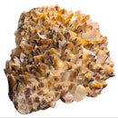 Honey Calcite - Statement Specimen - Mexico