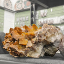Honey Calcite - Statement Specimen - Mexico