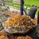 Honey Calcite - Statement Specimen - Mexico