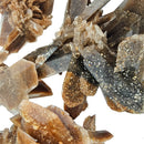 Hourglass Selenite Cluster - Mineral - Oklahoma, USA