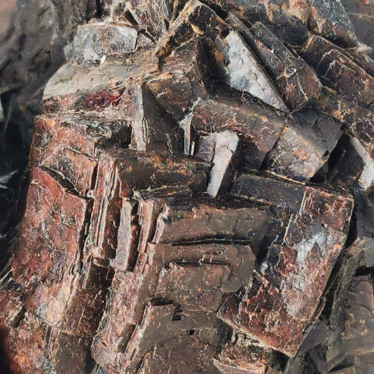 Limonite cluster from Morocco – close-up of cube faces