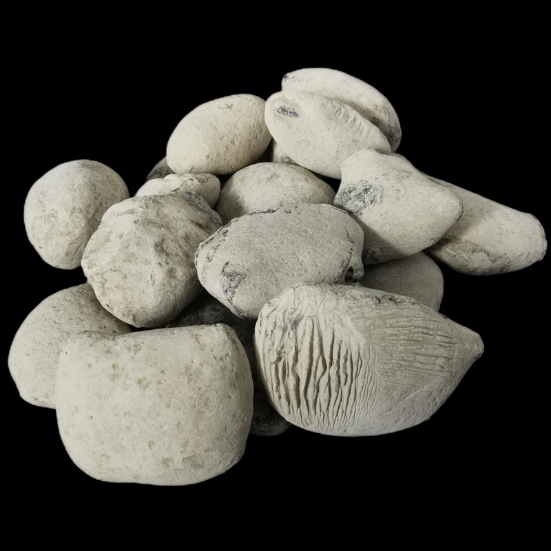Crab Concretions - Unprepared Fossil