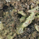 Smithsonite (Var. Cuprian) - Mineral