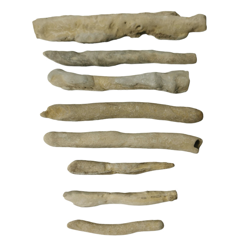 Fairy Stone Sticks - Mineral