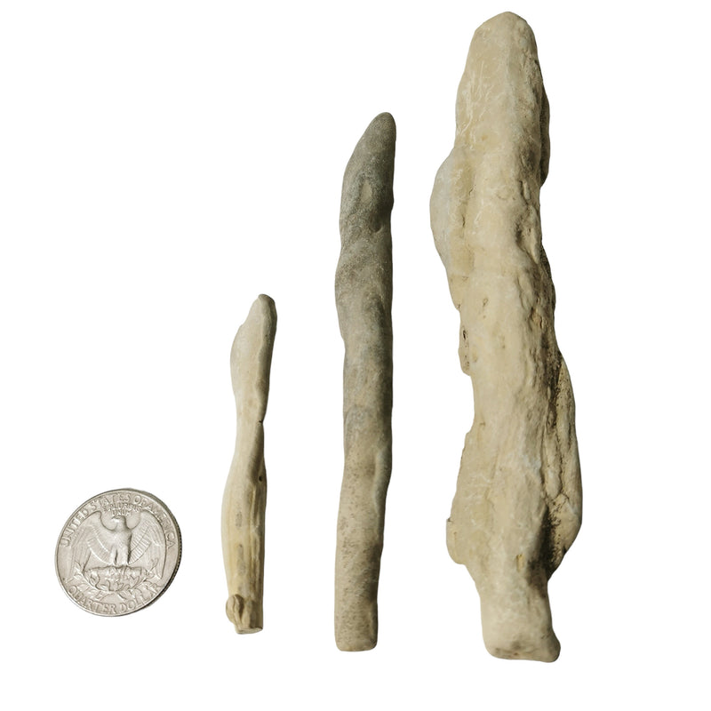 Fairy Stone Sticks - Mineral