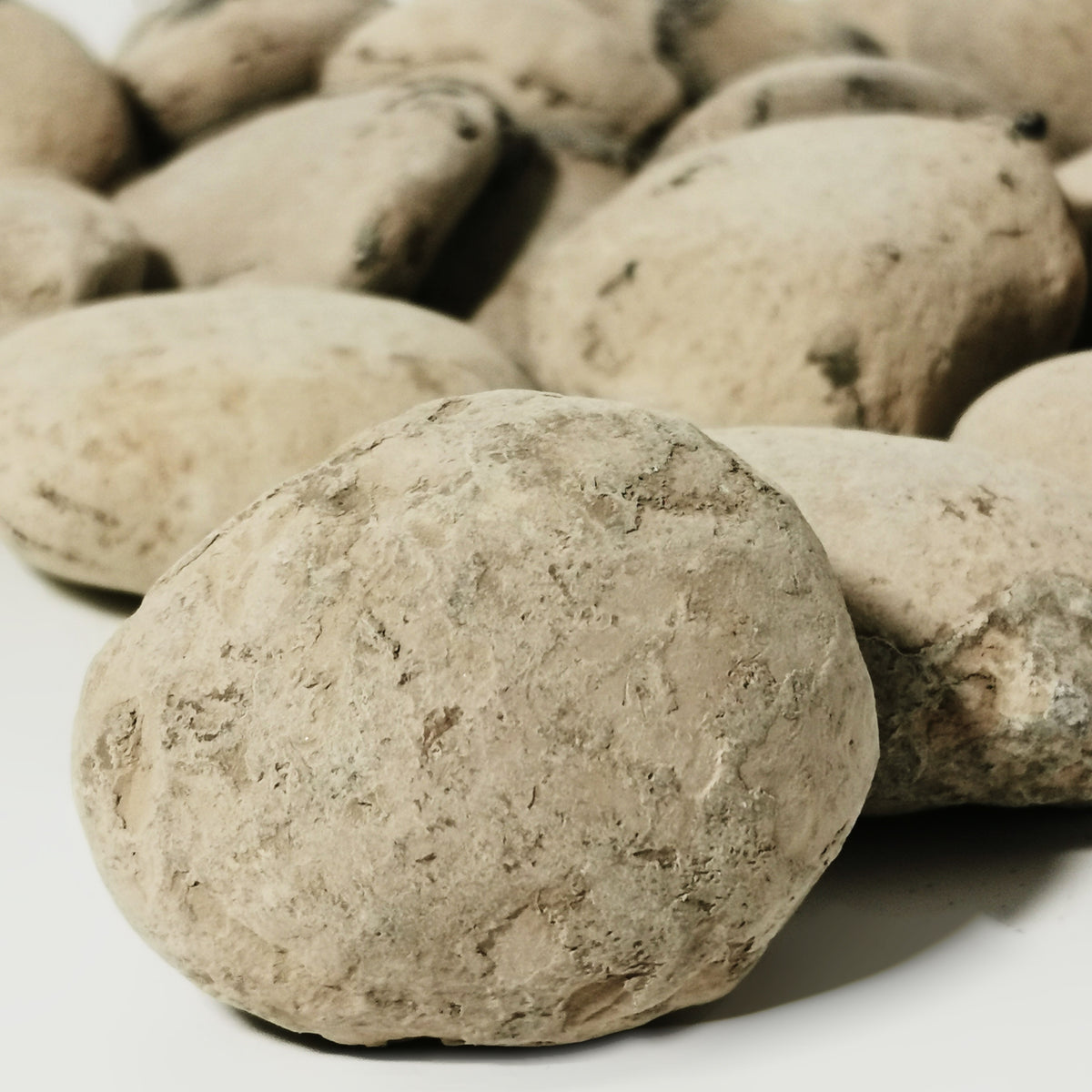 Crab Concretions unprepared fossil from Isle Of Sheppey, England, London Clay Formation, Early Eocene.