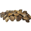 Ichthyosaurus Vertebrae - Fossil - Mesozoic Era - Germany