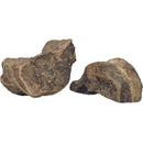 Ichthyosaurus Vertebrae - Fossil - Mesozoic Era - Germany