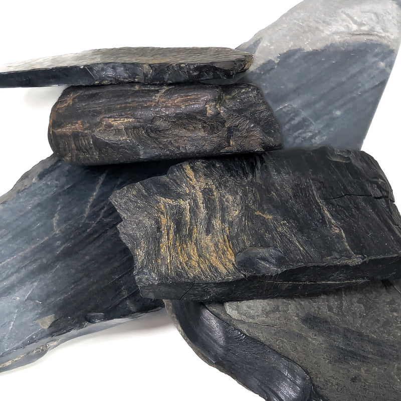 Jet - (Partially Fossilized Wood) - Fossil Specimen