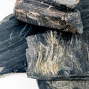 Jet - Fossil - England