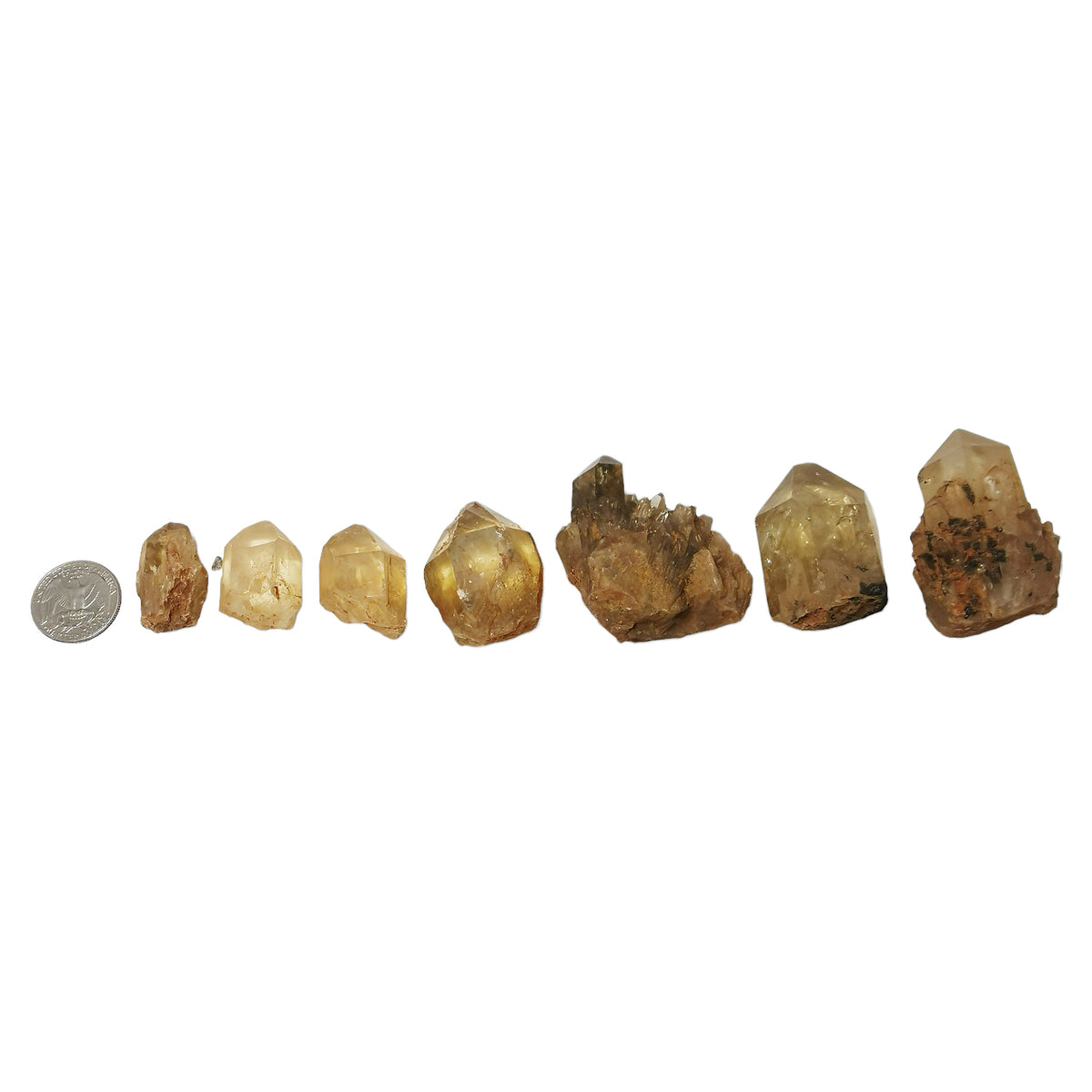 Kundalini citrine from DR Congo – points by size beside a coin for scale