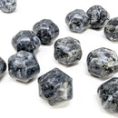 Larvikite - Fancy Tumble