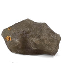 Libyan Desert Glass - Specimen