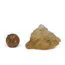 Libyan Desert Glass - 50g - Specimen