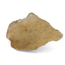 Libyan Desert Glass - 50g - Specimen