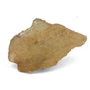 Libyan Desert Glass - 50g - Specimen
