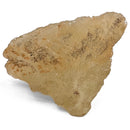 Libyan Desert Glass - 50g - Specimen