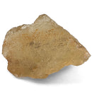 Libyan Desert Glass - 50g - Specimen