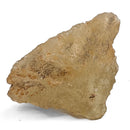 Libyan Desert Glass - 50g - Specimen