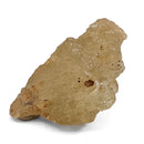 Libyan Desert Glass - 50g - Specimen