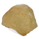 Libyan Desert Glass - 97g - Specimen