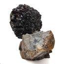 Limonite after Pyrite - Specimen