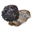 Limonite after Pyrite - Specimen