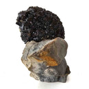 Limonite after Pyrite - Specimen