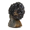 Limonite after Pyrite - Specimen
