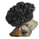 Limonite after Pyrite - Specimen