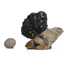 Limonite after Pyrite - Specimen