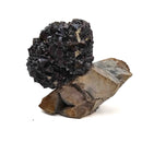 Limonite after Pyrite - Specimen