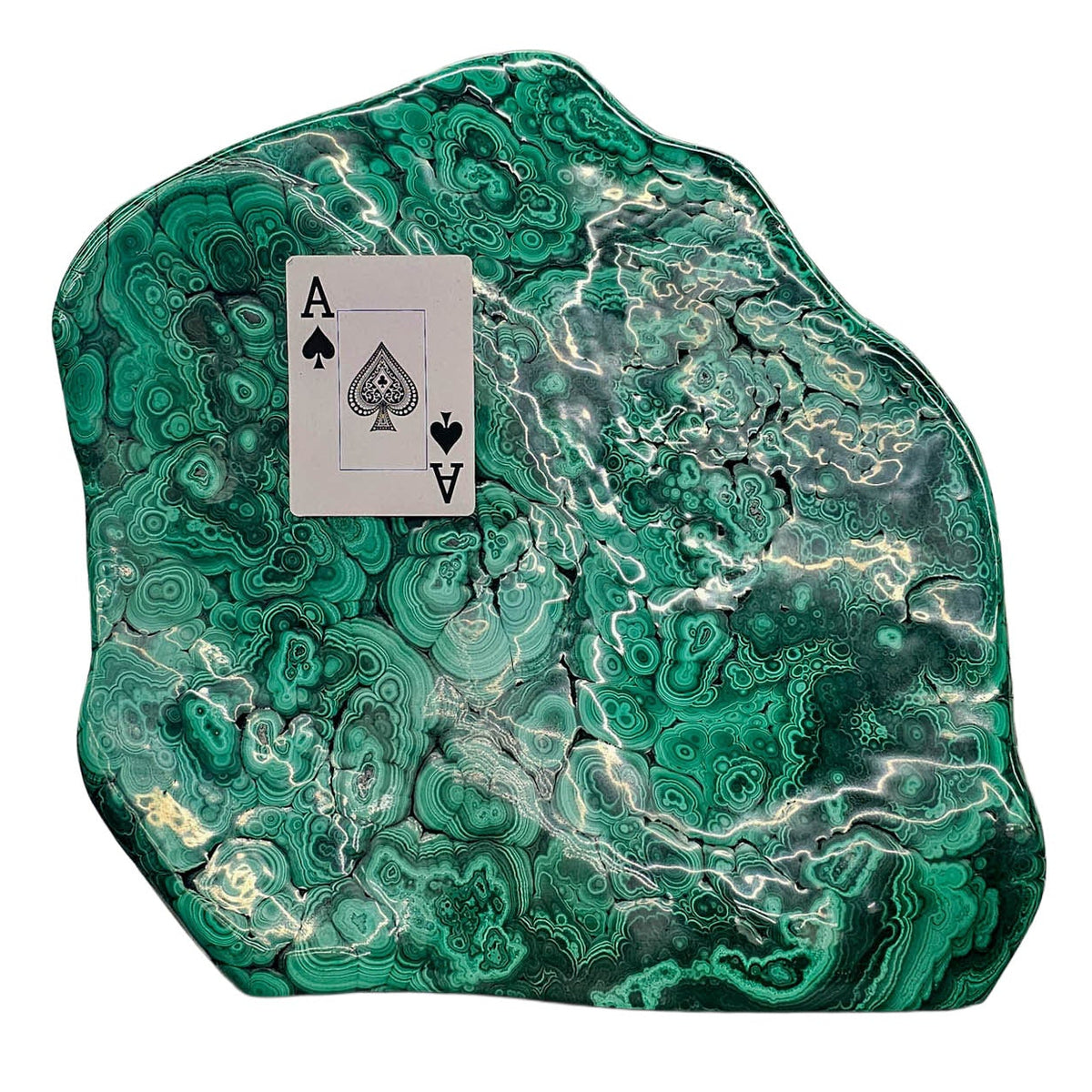 Malachite - Polished - Statement Specimen - Democratic Republic of the Congo