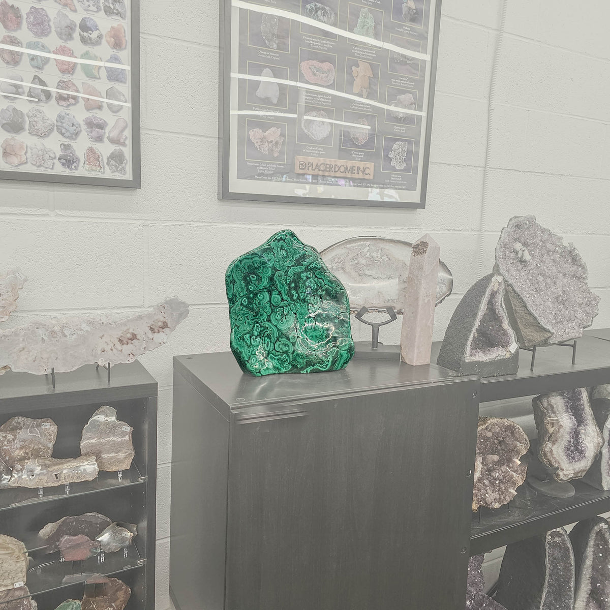 Malachite - Polished - Statement Specimen - Democratic Republic of the Congo