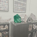 Malachite - Polished - Statement Specimen - Democratic Republic of the Congo