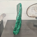 Malachite - Polished - Statement Specimen
