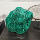 Malachite - Polished - Statement Specimen - Democratic Republic of the Congo