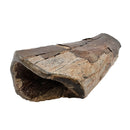 Mammoth Bone Fragment - Fossil Specimen