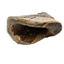 Mammoth Bone Fragment - Fossil Specimen