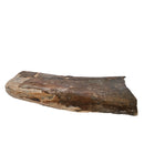 Mammoth Bone Fragment - Fossil Specimen