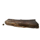 Mammoth Bone Fragment - Fossil Specimen