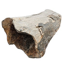 Mammoth Bone Fragment - Fossil Specimen