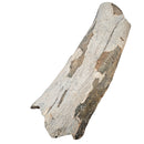 Mammoth Bone Fragment - Fossil Specimen