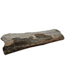 Mammoth Bone Fragment - Fossil Specimen