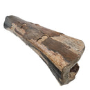 Mammoth Bone Fragment - Fossil Specimen