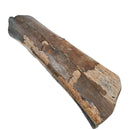 Mammoth Bone Fragment - Fossil Specimen