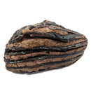 Mammoth Tooth - Fossil Specimen