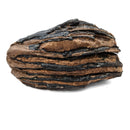 Mammoth Tooth - Fossil Specimen